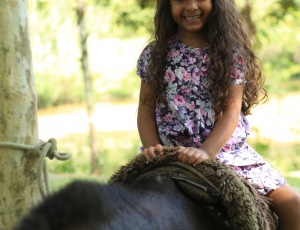 Aos finais de semana, passeios de cavalo e pônei